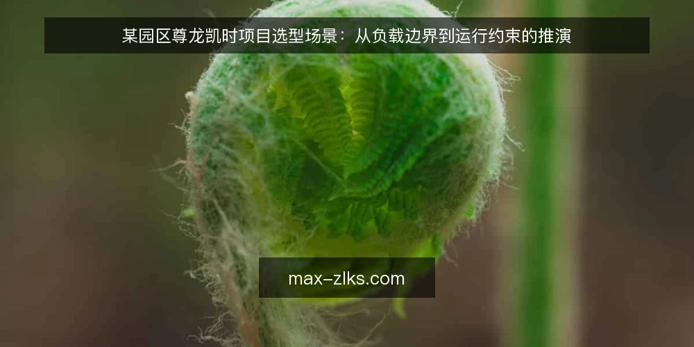 某园区尊龙凯时项目选型场景:从负载边界到运行约束的推演 — 场景设定:某园区的尊龙凯时选型需求 配图