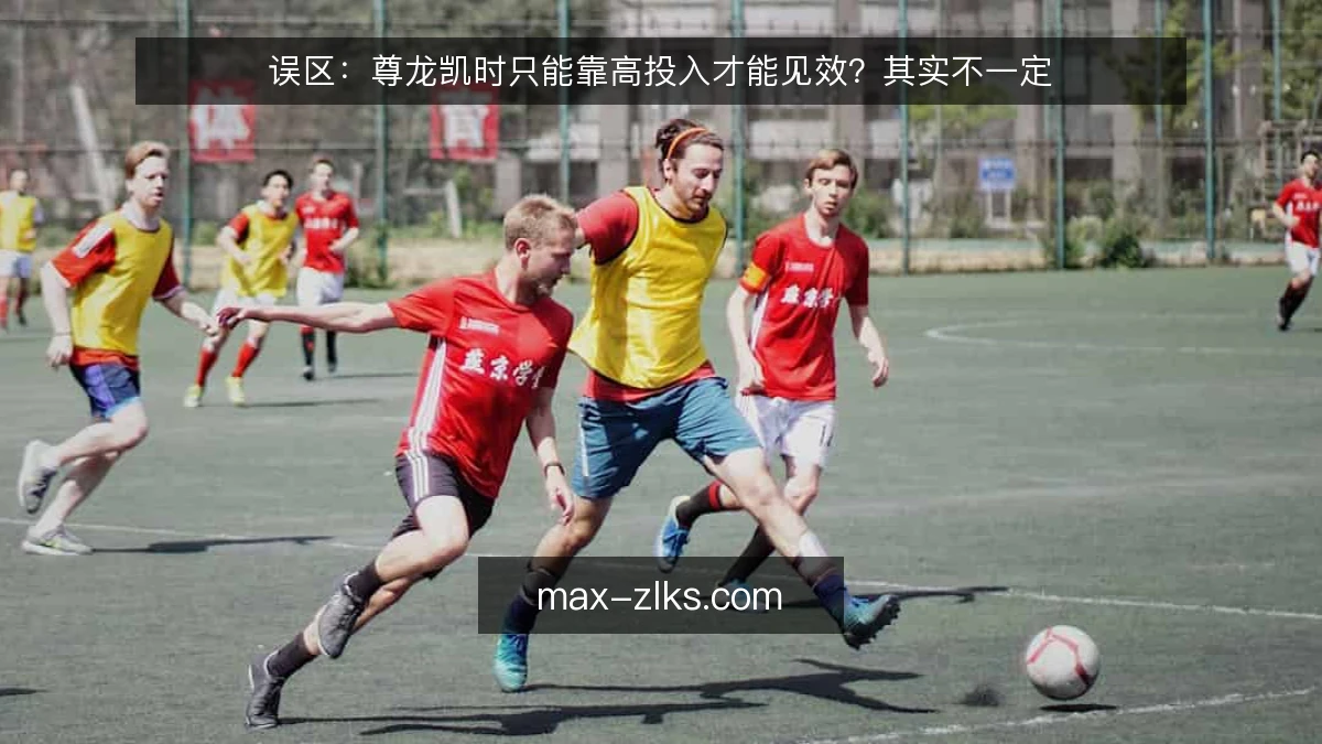 误区：尊龙凯时只能靠高投入才能见效？其实不一定
