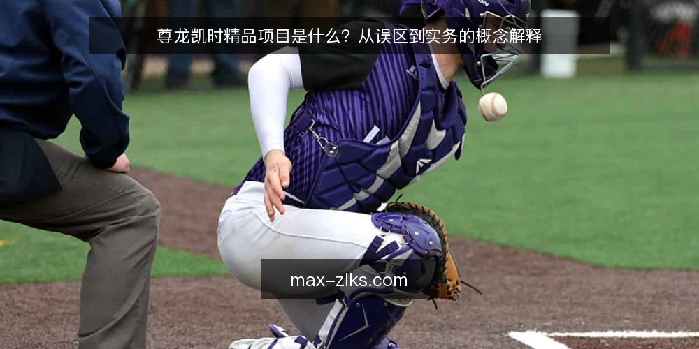 尊龙凯时精品项目是什么？从误区到实务的概念解释 — 尊龙凯时精品项目是什么：定义与常见误区 配图