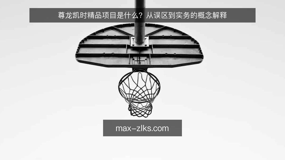 尊龙凯时精品项目是什么？从误区到实务的概念解释