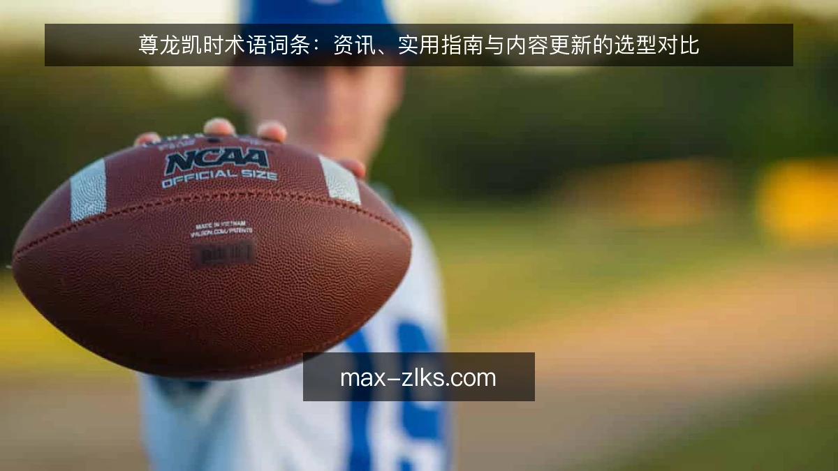 尊龙凯时术语词条:资讯、实用指南与内容更新的选型对比