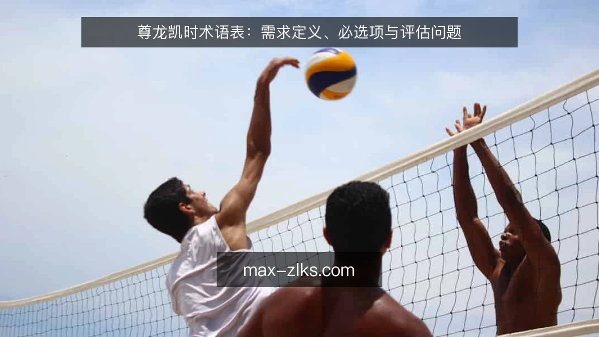 尊龙凯时术语表:需求定义、必选项与评估问题